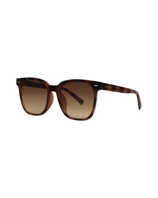 Calvin Klein Brown Sunglasses