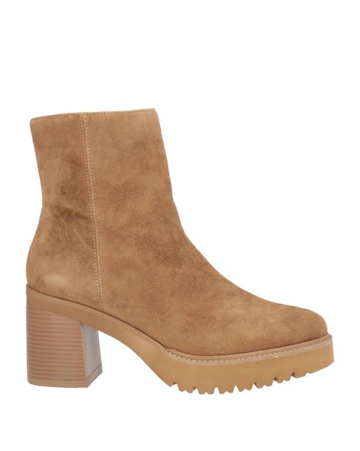 Callaghan Brown Ankle Boots Leather