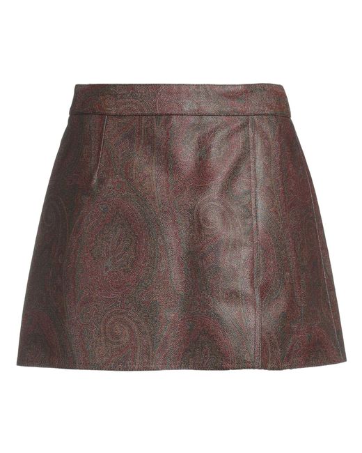 Etro Brown Mini Skirt