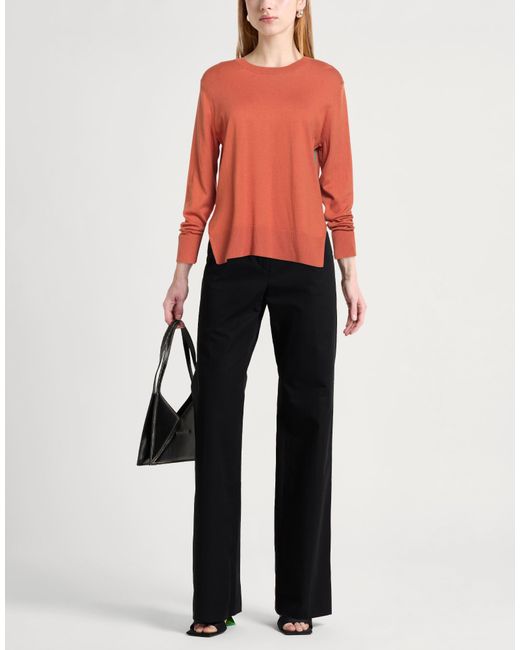 Maliparmi Orange Sweaters