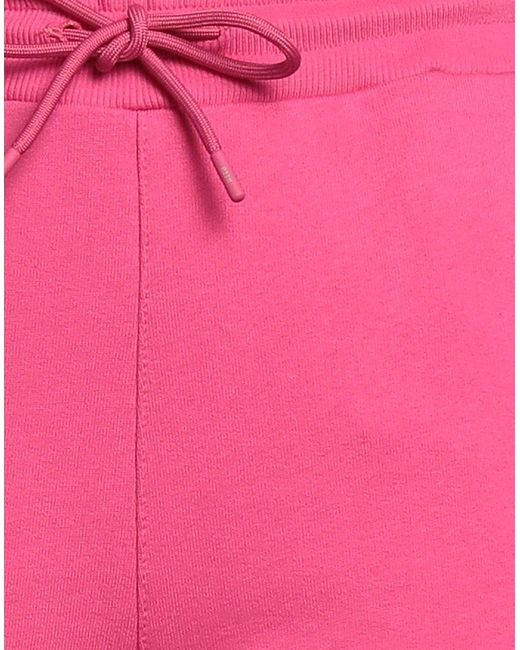 MSGM Pink Hose
