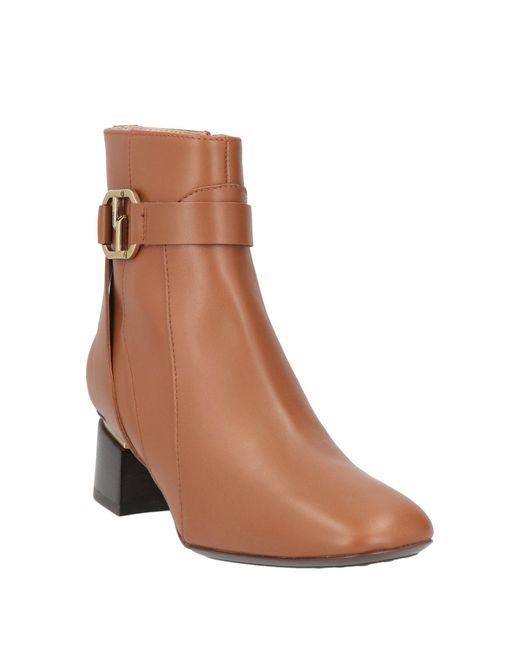 Tod's Brown Ankle Boots