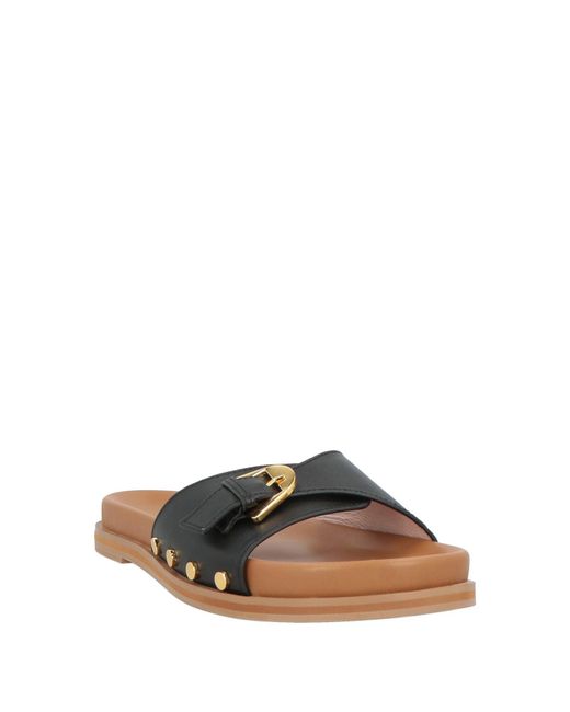 Coccinelle Black Sandals