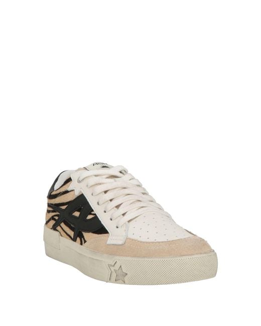 Ash White Trainers