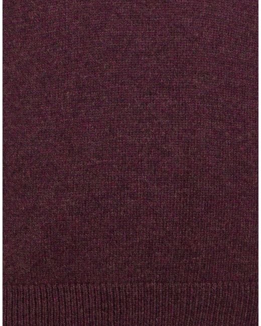 Roda Purple Sweater Wool for men