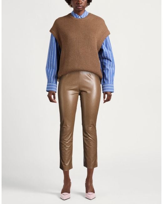 Seductive Brown Pants