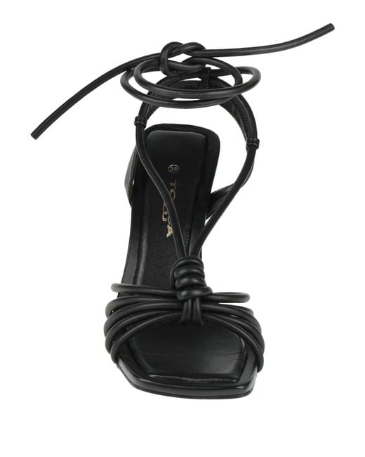 Tosca Blu Black Sandals