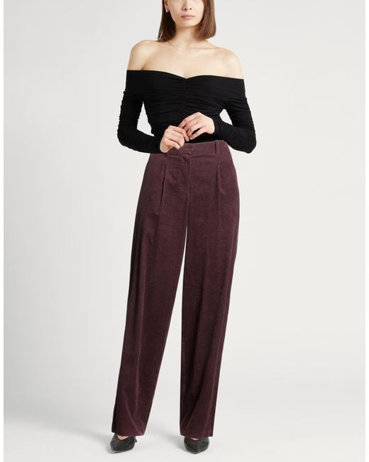 Alysi Purple Trouser