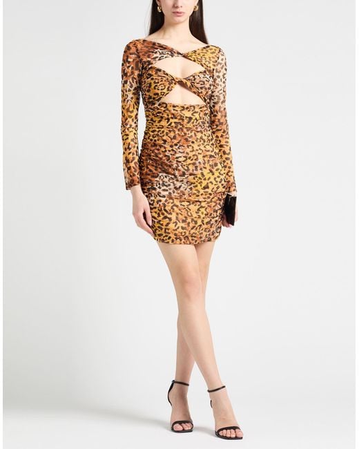Just Cavalli Brown Mini Dress