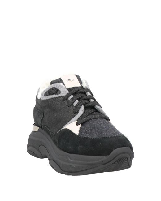 Alberto Guardiani Black Trainers