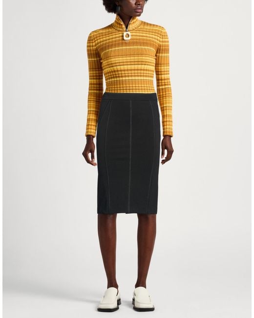 Grifoni Black Midi Skirt Viscose, Polyamide, Elastane