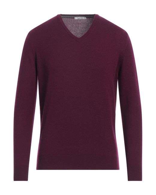 Kangra Purple Sweater for men