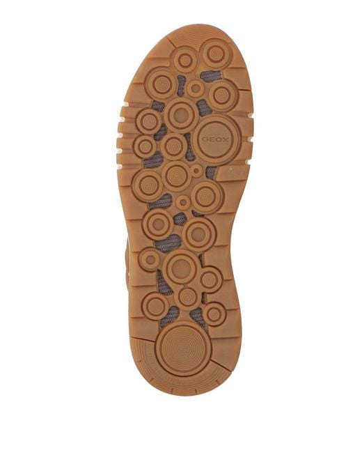 Geox Brown Trainers