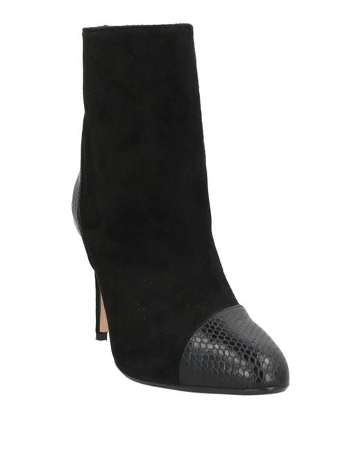 Dondup Black Stiefelette
