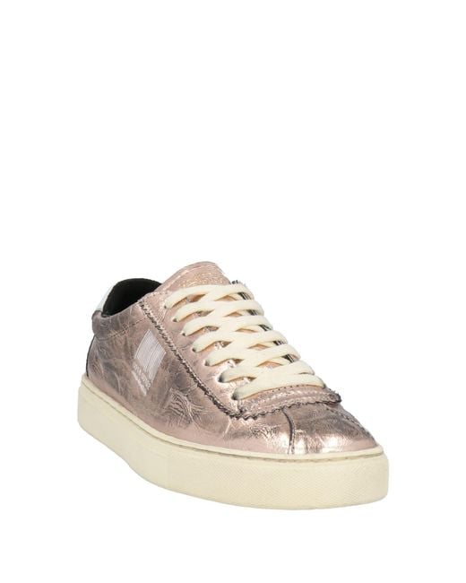 PRO 01 JECT Multicolor Sneakers