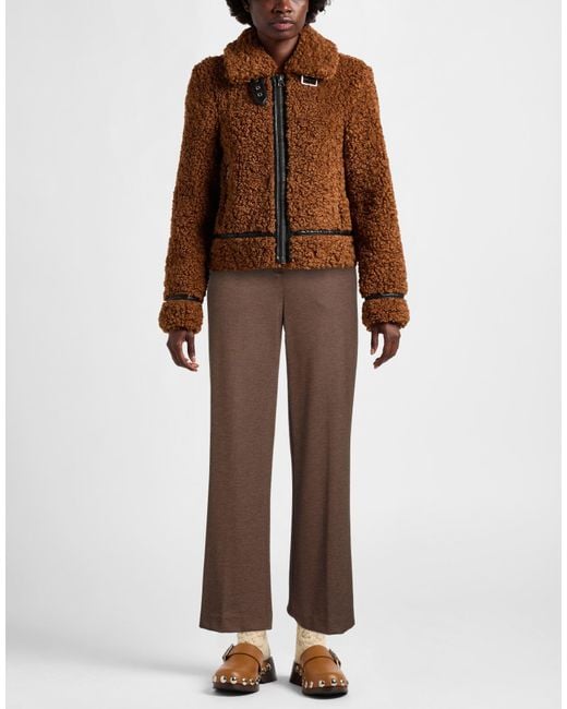 Circolo 1901 Brown Pants Virgin Wool, Cashmere, Polyamide