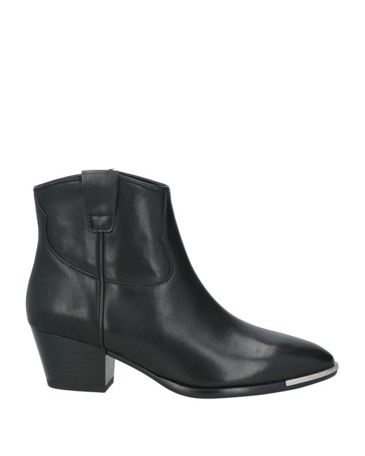 Botines de caña alta Ash de color Black