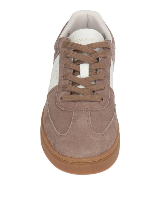 Hackett Brown Trainers for men