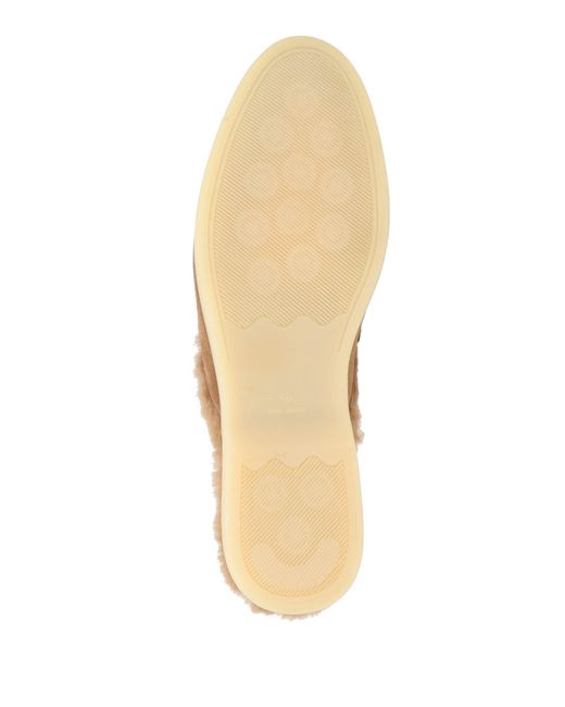 Piumi Brown Mules & Clogs
