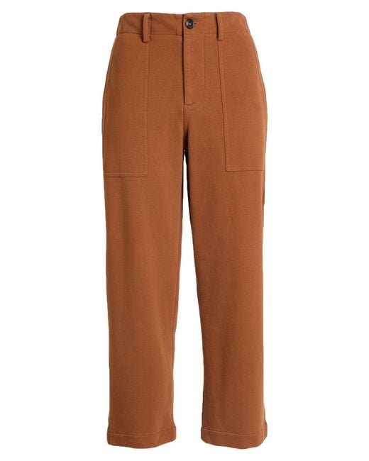 Circolo 1901 Brown Pants