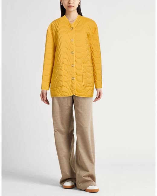 Dixie Yellow Jackets
