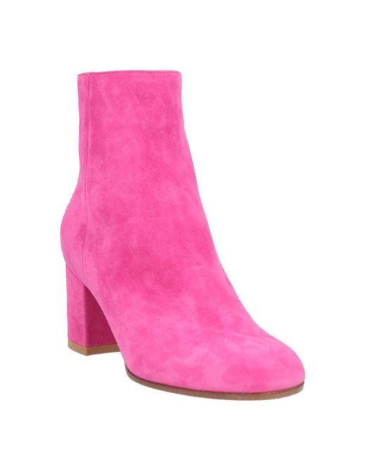 Gianvito Rossi Pink Ankle Boots