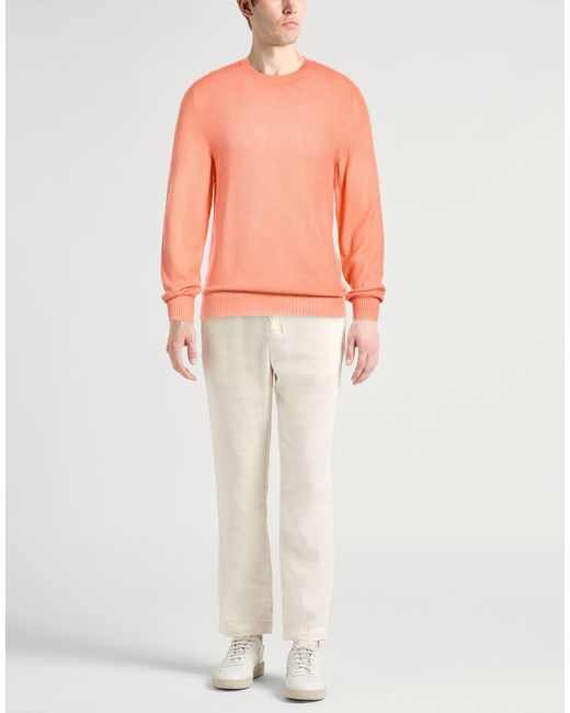 Pullover Fedeli de hombre de color Pink