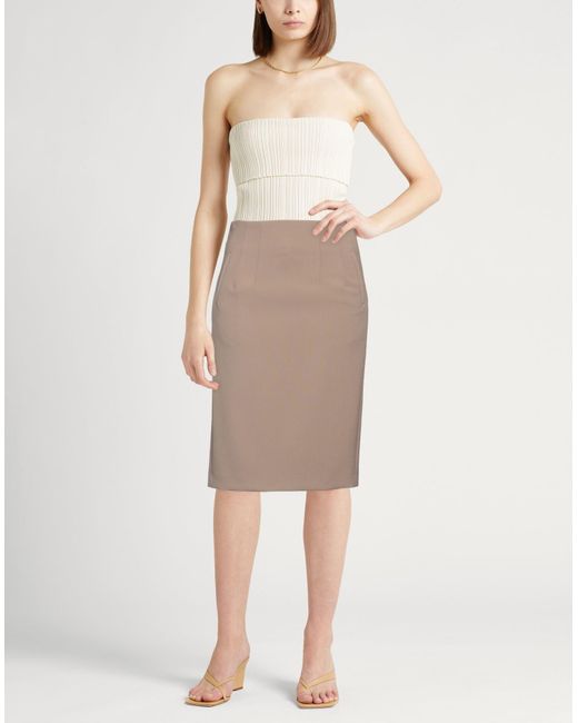 Peserico Brown Midi Skirt