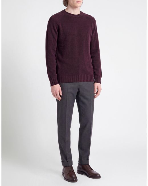 Tagliatore Purple Sweater Cashmere for men