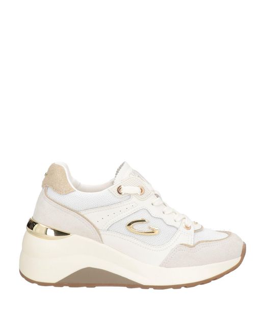 Alberto Guardiani White Sneakers