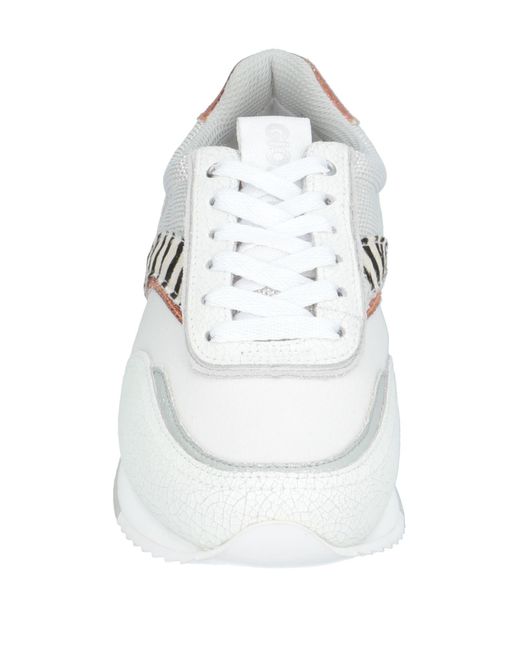 Gioseppo White Trainers