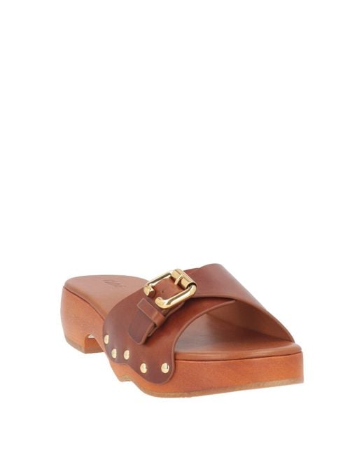 Chloé Brown Mules & Clogs Leather