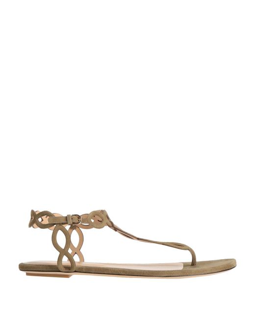 Sergio Rossi Natural Thong Sandal