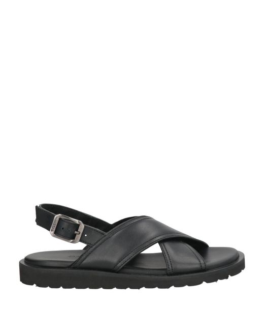 Baldinini Black Sandals Calfskin for men