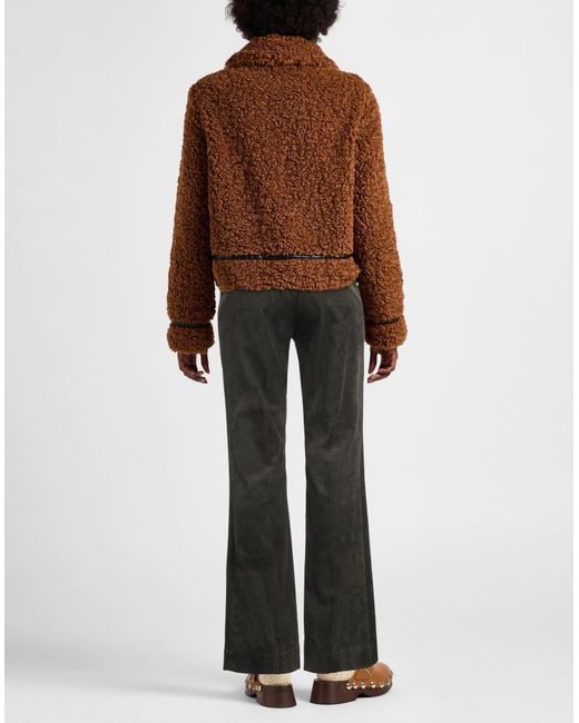 Antonelli Gray Hose