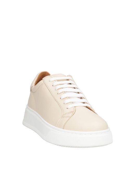 Bervicato Natural Sneakers Leather
