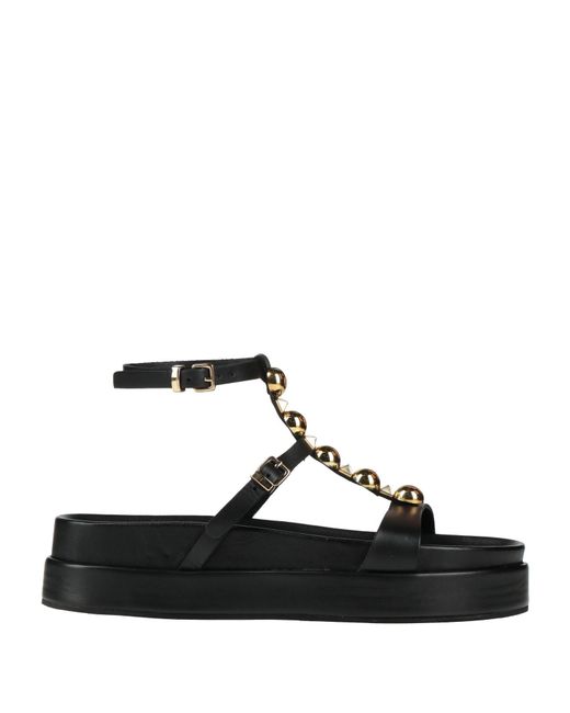 Divine Follie Black Sandals Calfskin