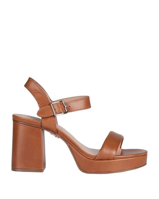 Steve Madden Brown Sandals