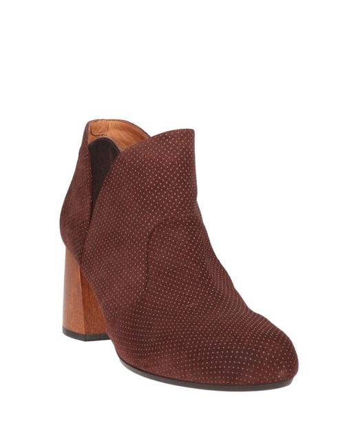Bottines Chie Mihara en coloris Brown