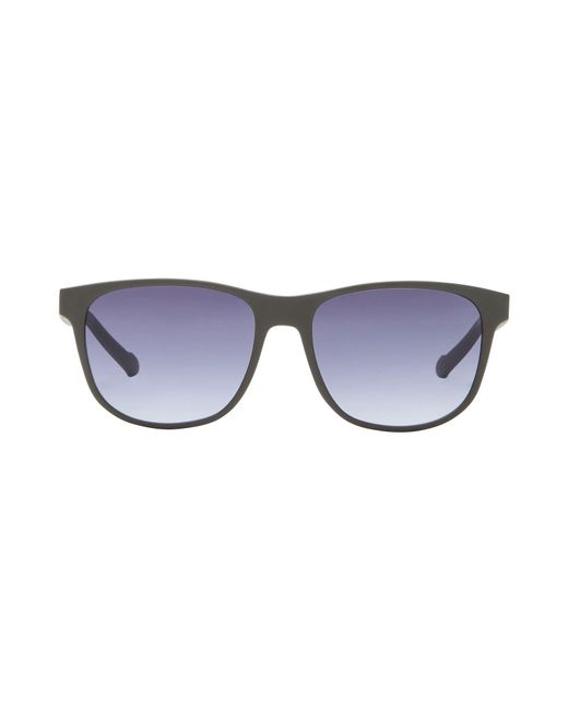 Adidas Originals Blue Sunglasses for men