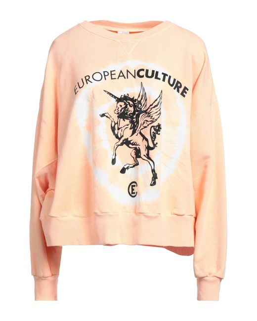 European Culture Natural Sweatshirt