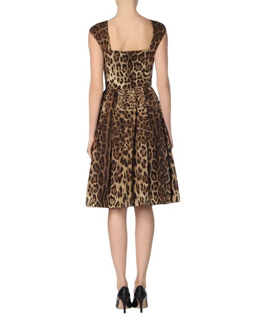 Dolce & Gabbana Brown Midi Dress