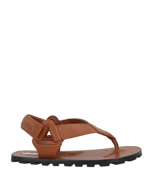 Jil Sander Brown Thong Sandal Leather