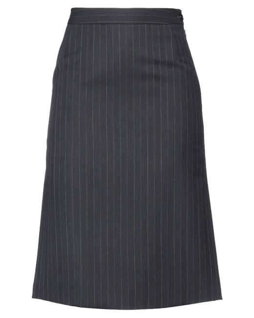 Barena Blue Midi Skirt