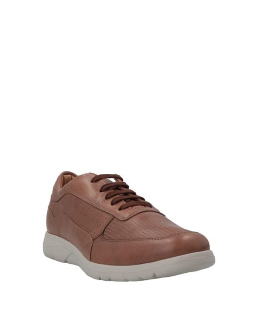 Stonefly Brown Trainers for men