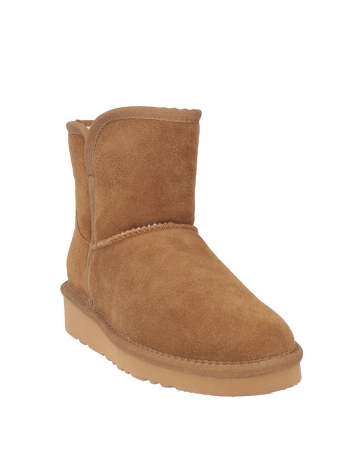CafeNoir Brown Ankle Boots