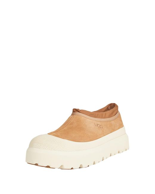 Ugg Multicolor Ankle Boots for men