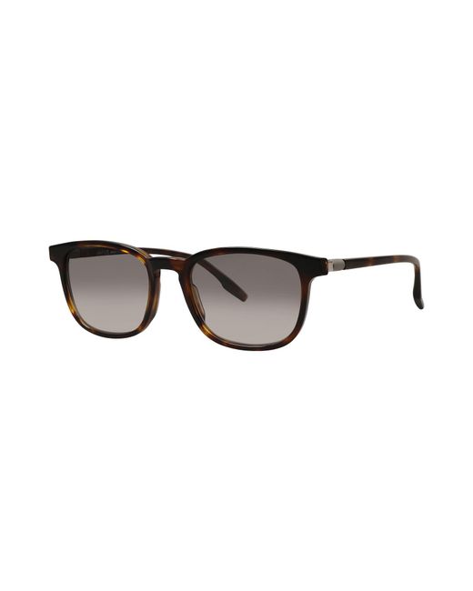 Safilo Brown Sunglasses for men