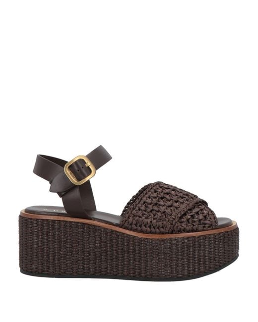 Tod's Brown Sandale