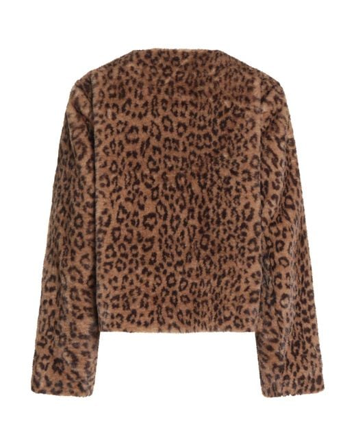 Shearling & Teddy di Maje in Brown